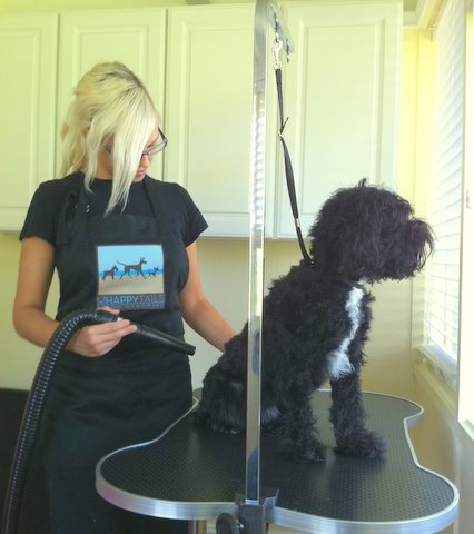 happy tails dog grooming